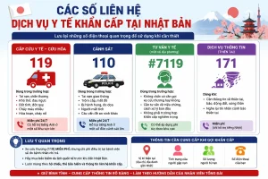 Các Dịch Vụ Y Tế Khẩn Cấp Tại Nhật Bản: Hướng Dẫn Dành Cho Khách Du Lịch
