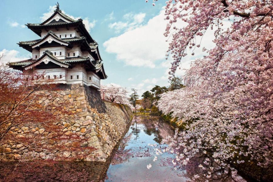 Chương Trình Tour Nhật Bản Ngắm Hoa Anh Đào 2024