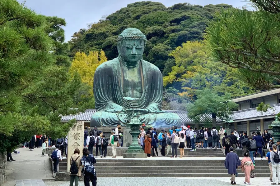 Đại Phật Kamakura – Biểu Tượng Nổi Bật Của Thành Phố