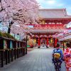 Đền Asakusa Kannon – ngôi đền linh thiêng cổ nhất Tokyo, du xuân Nhật Bản 2025