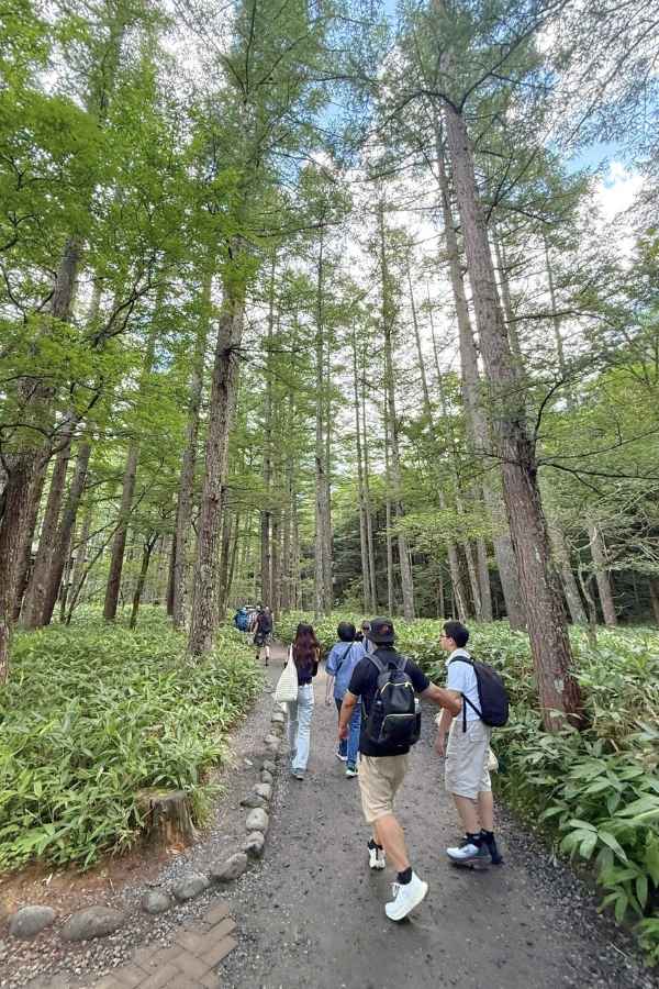 Hiking ở Takayama giữa rừng núi xanh mát và không khí trong lành Nhật Bản