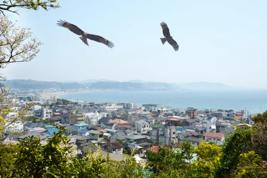 Kamakura Nằm Ở Đâu