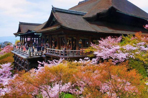 Kiyomizu Dera - Chùa Thanh Thuỷ mùa hoa anh đào Nhật Bản