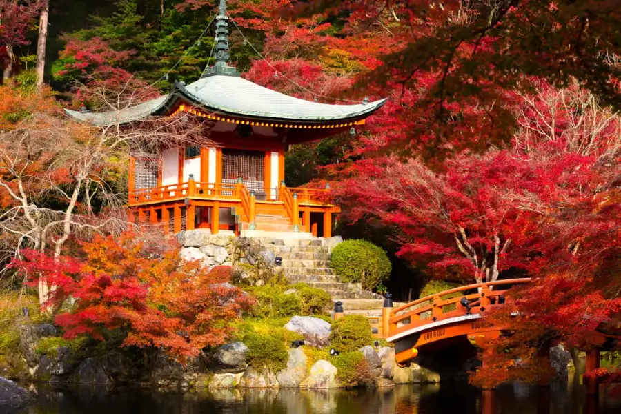Kyoto Mùa Lá Đỏ 12 Điểm Ngắm Momiji Đẹp Nhất & Lịch Trình