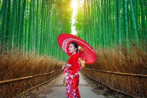 Tour du lịch Nhật Bản - Rừng tre Arashiyama