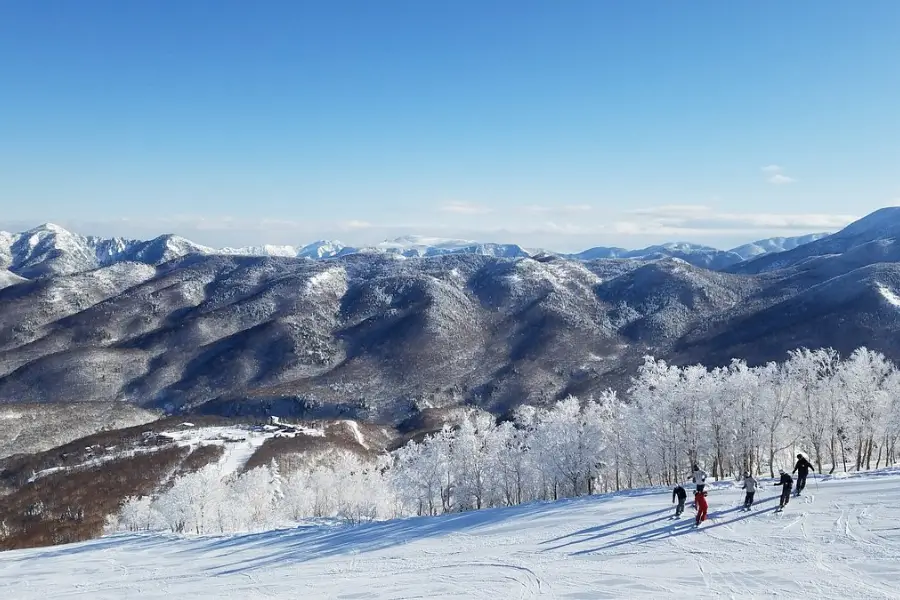 Shiga Kogen – Một trong những khu trượt tuyết lớn nhất Nhật