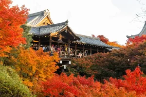Tofuku-ji - Ngôi Đền Nổi Tiếng Với Mùa Lá Đỏ Đẹp Nhất Kyoto