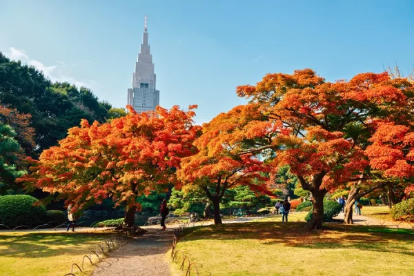 Tokyo Mùa Thu 10 Điểm Ngắm Lá Đỏ Và Gợi Ý Lịch Trình