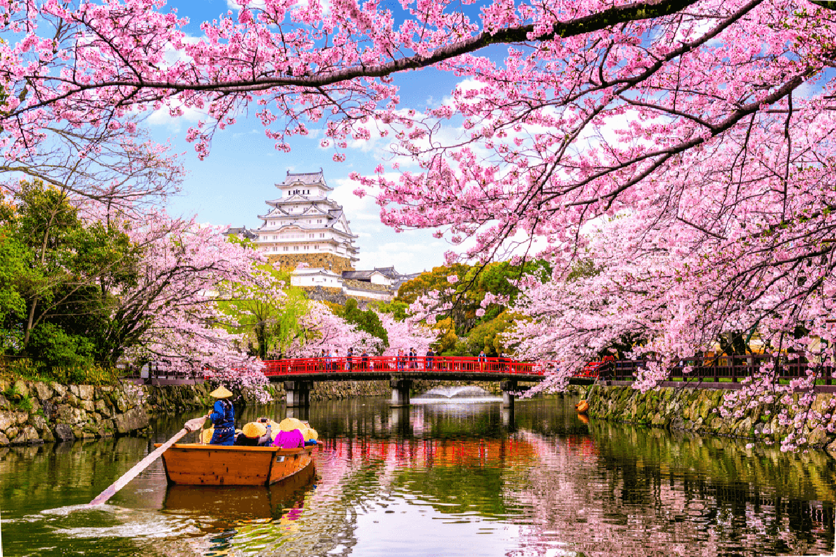 Tour Du Lịch Nhật Bản 2024 Mùa Hoa Sakura - 6N5Đ
