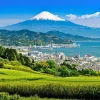 Tour Nhật Bản Mùa Hè 6 Ngày 5 Đêm Shizuoka – Kyoto – Phú Sĩ – Tokyo
