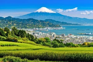 Tour Nhật Bản Mùa Hè 6 Ngày 5 Đêm Shizuoka – Kyoto – Phú Sĩ – Tokyo