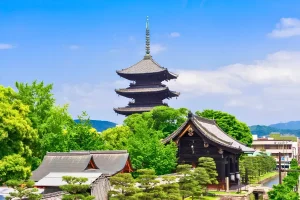 Tour Nhật Bản Mùa Hè - Chùa Toji