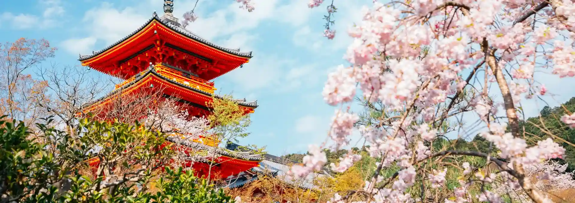Tour Nhật Bản Mùa Hoa Anh Đào