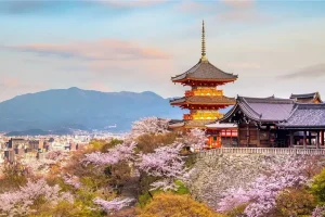 Tour du lịch Nhật Bản - Chùa Thanh Thủy (Kiyomizu-dera)