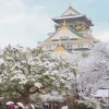 Tour du lịch Nhật Bản - Lâu đài Osaka Biểu tượng lịch sử giữa lòng Nhật Bản