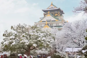 Tour du lịch Nhật Bản - Lâu đài Osaka Biểu tượng lịch sử giữa lòng Nhật Bản