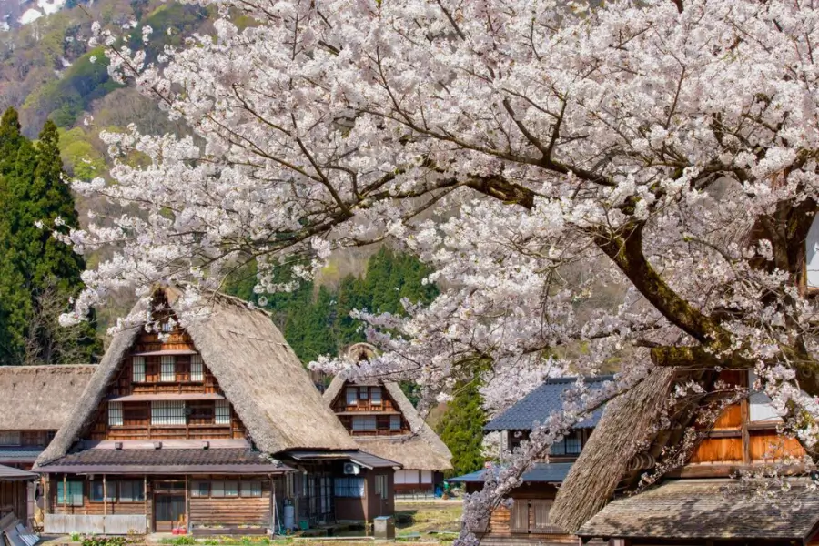 Tour du lịch Nhật Bản - Ngôi làng cổ tích Shirakawago Tour du lịch Nhật Bản - Ngôi làng cổ tích Shirakawago