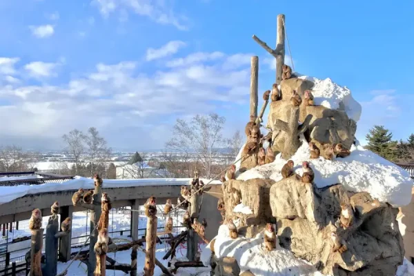 Du lịch Nhật Bản Vườn thú Asahiyama Khu Bảo Tồn động Vật Xứ Lạnh ở Hokkaido