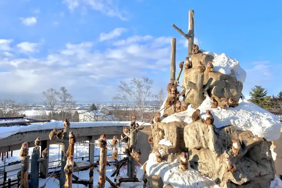 Vườn thú Asahiyama Khu Bảo Tồn động Vật Xứ Lạnh ở Hokkaido Du lịch Nhật Bản Vườn thú Asahiyama Khu Bảo Tồn động Vật Xứ Lạnh ở Hokkaido