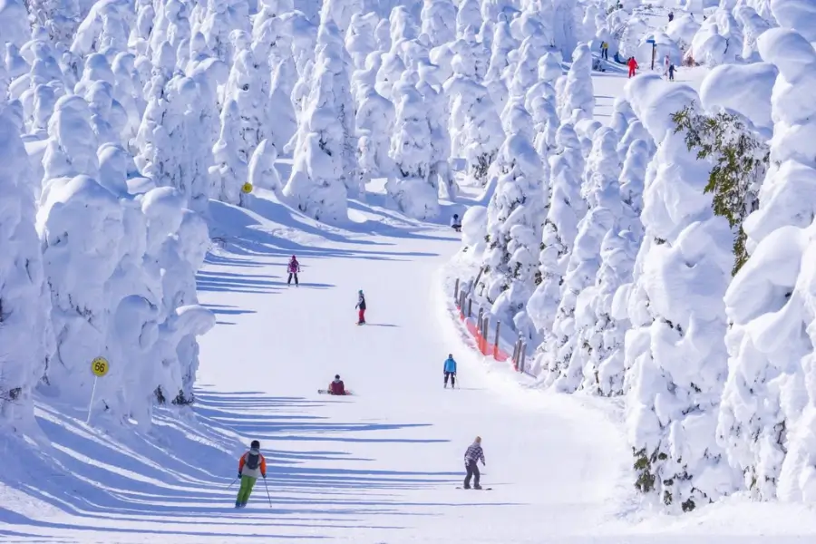 Zao Onsen – Tỉnh Yamagata đẹp và thanh bình