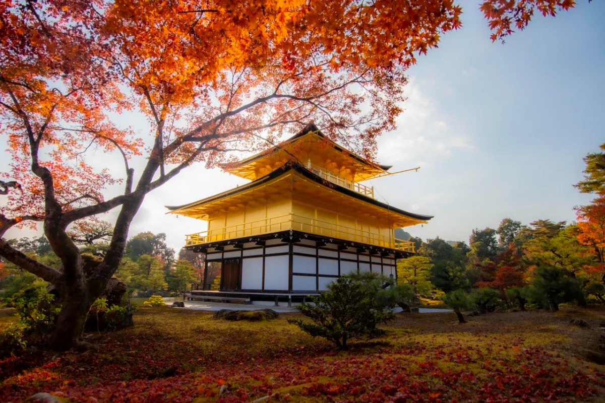 Chùa Kinkakuji Mùa Thu
