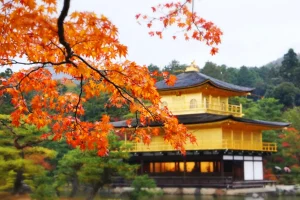 Vẻ Đẹp Lãng Mạn Của Chùa Kinkakuji Mùa Thu: Tuyệt Tác Cố Đô Kyoto