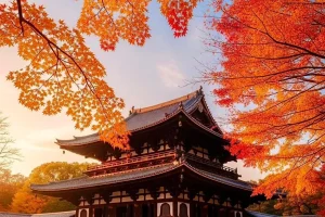 Kinh Nghiệm Du Lịch Nhật Bản Tháng 11
