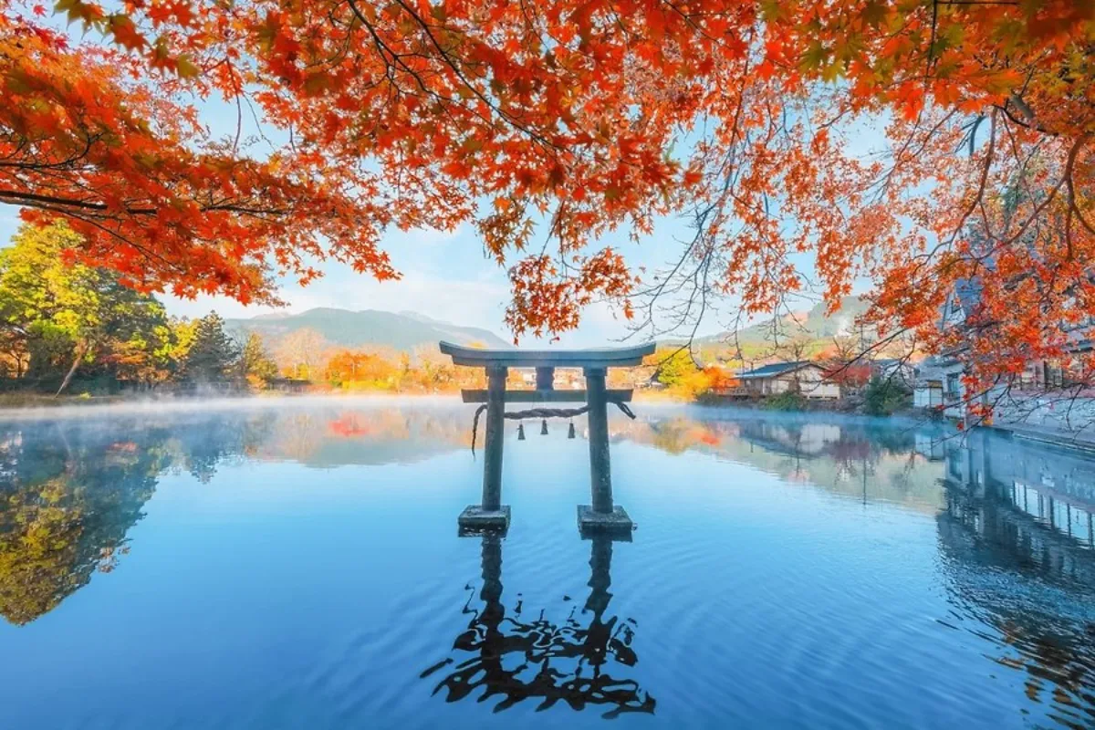 Người Cao Tuổi Đi Tour Nhật Bản Mùa Thu