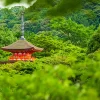 tour du lịch nhật bản