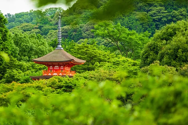 tour du lịch nhật bản