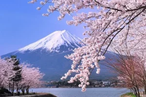 lịch trình tour nhật bản ngắm hoa anh đào