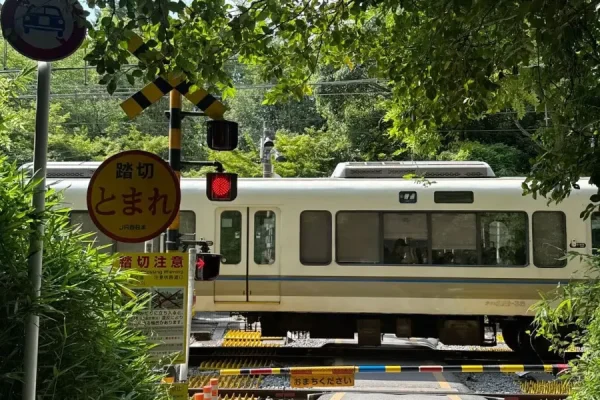Tour Nhật Bản 6 ngày 5 đêm