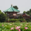 Tour Nhật Bản 6 ngày 5 đêm