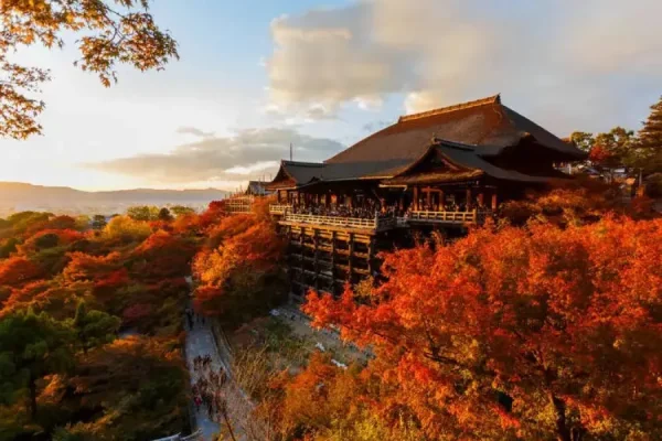 tour nhật bản từ hà nội